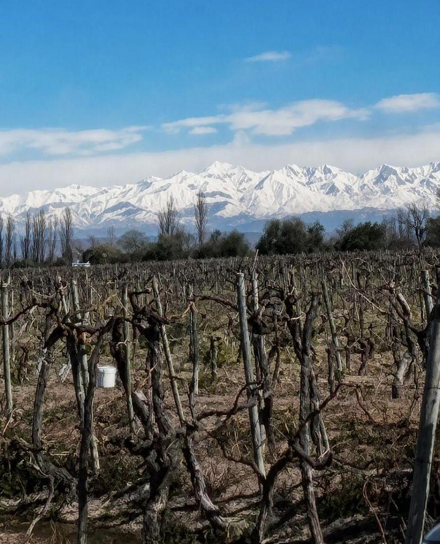 Foto de FINCA EN VENTA EXCELENTE OPORTUNIDAD DE INVERSION !!, imagen 1
