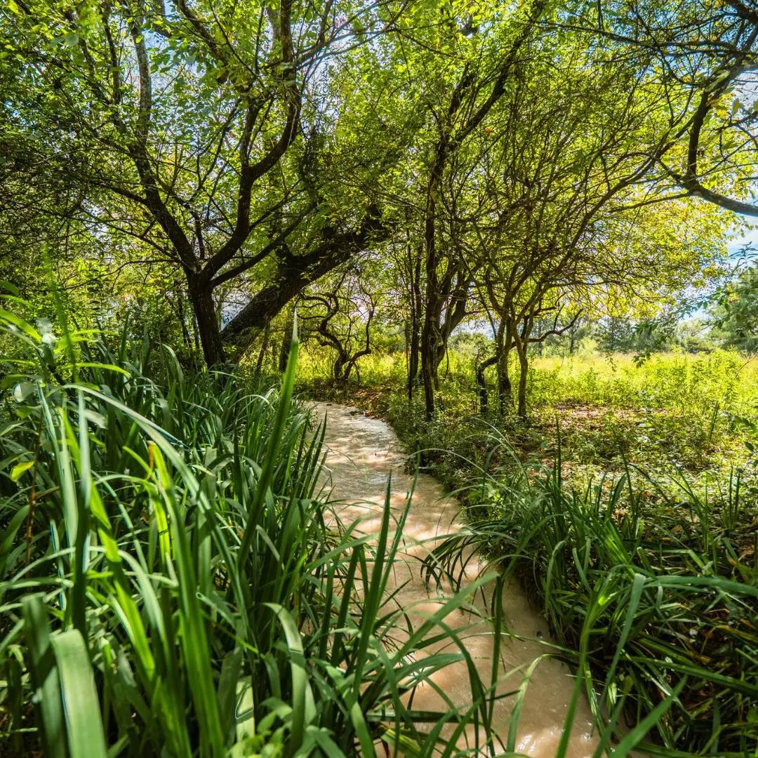 Finca en VENTA – 12 hectáreas - Campo Quijano, Salta 3