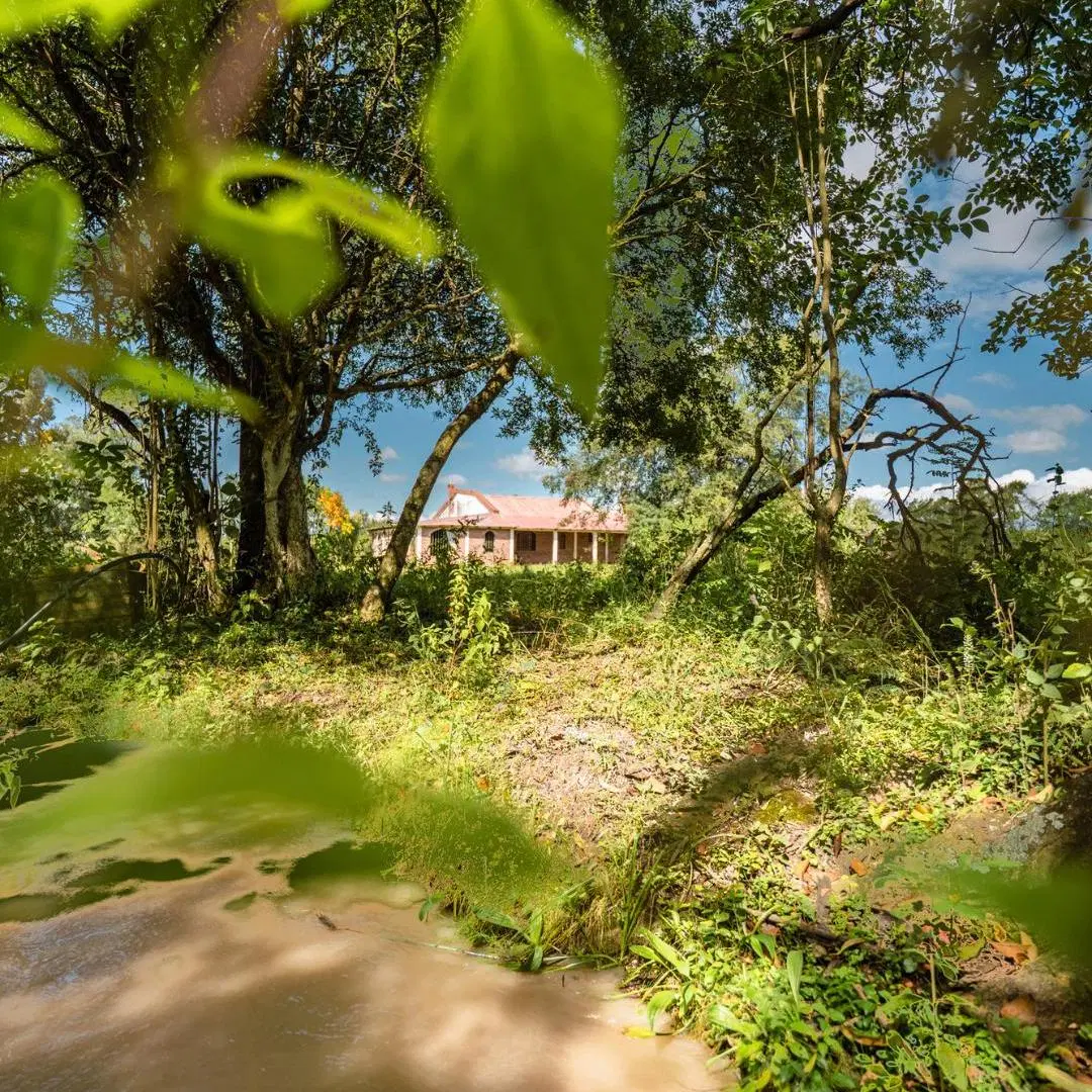 Finca en VENTA – 12 hectáreas - Campo Quijano, Salta 2