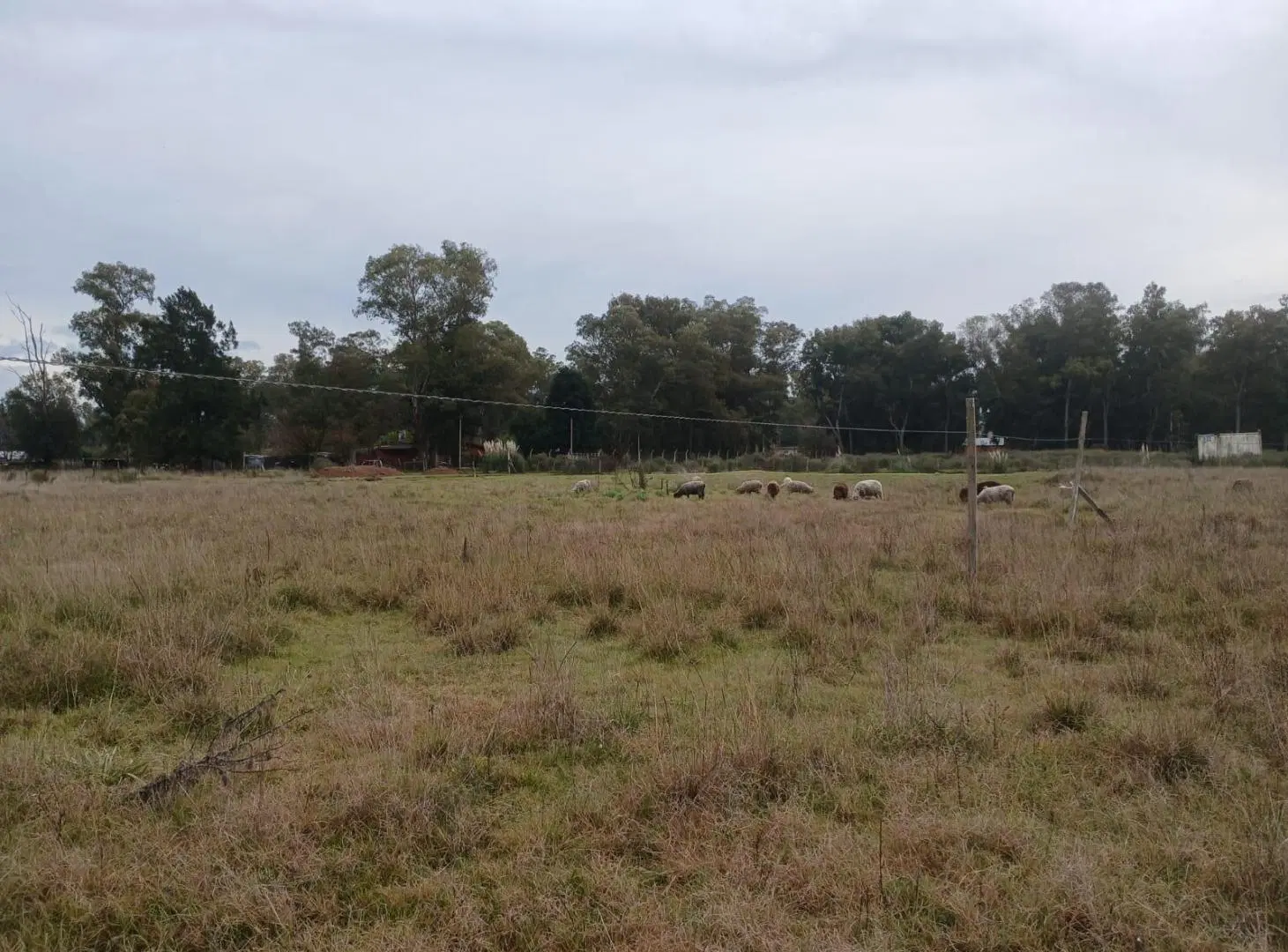 TERRENO EN VENTA CAÑUELAS RUTA 3 3