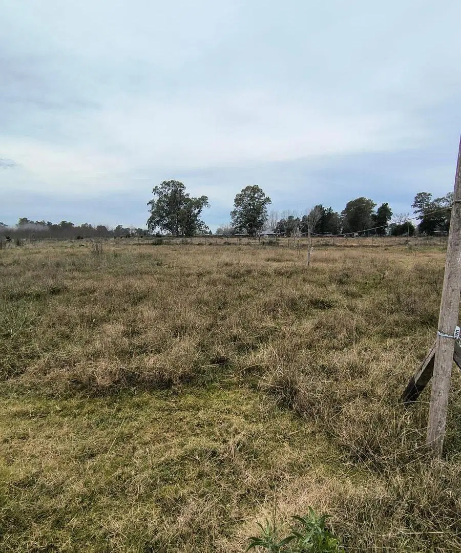 TERRENO EN VENTA CAÑUELAS RUTA 3 4
