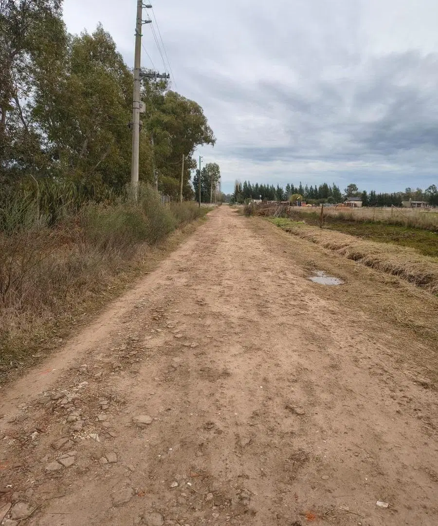 TERRENO VENTA CAÑUELAS RUTA 3 KM 75 8