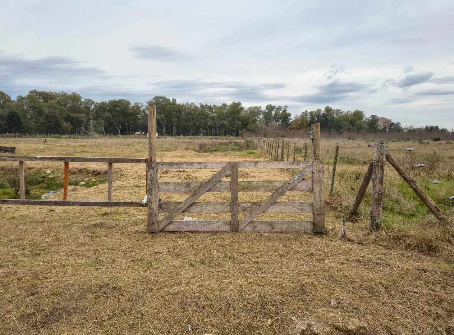 TERRENO VENTA CAÑUELAS RUTA 3 KM 75 2