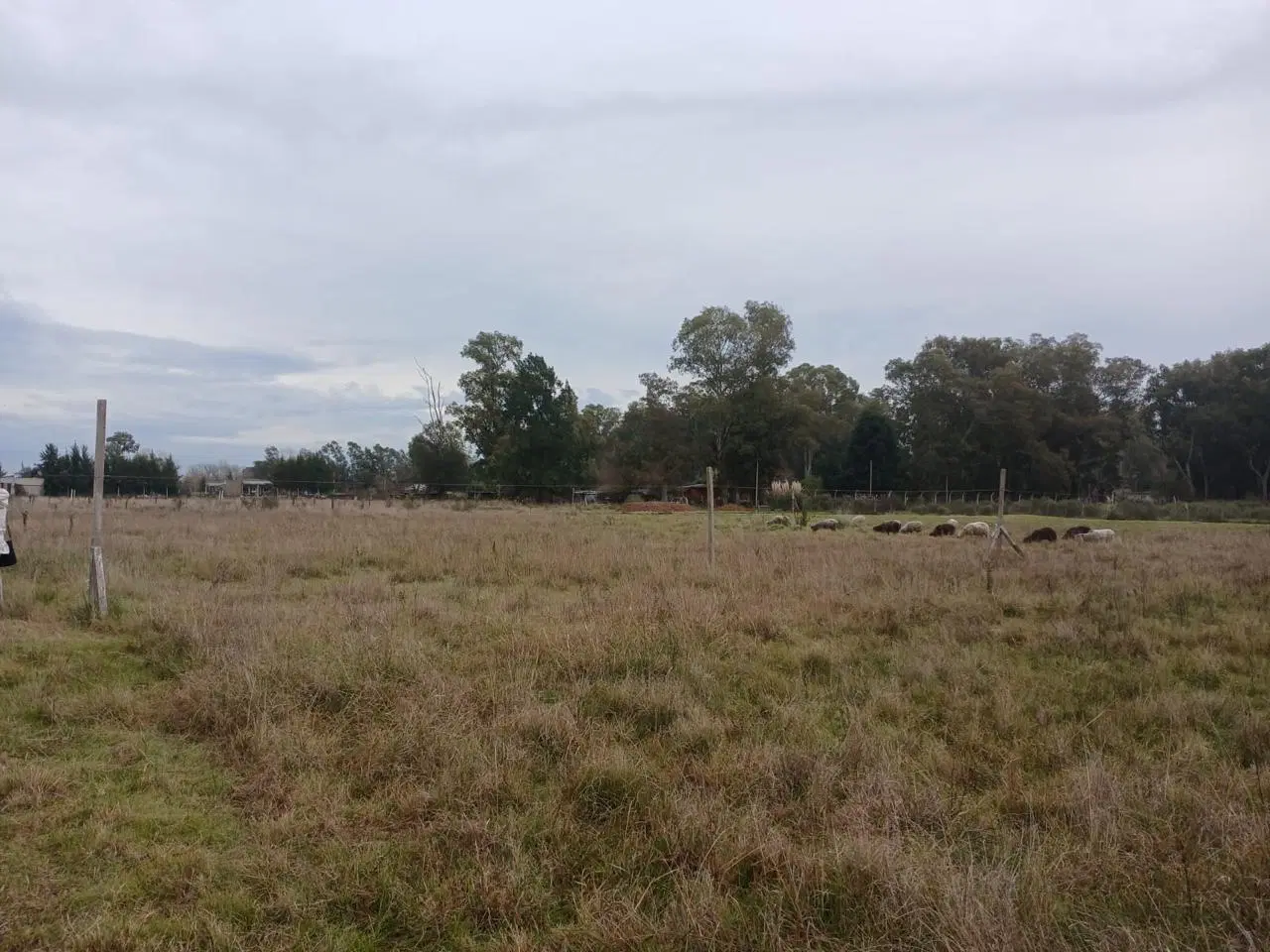 TERRENO VENTA CAÑUELAS RUTA 3 KM 75 5