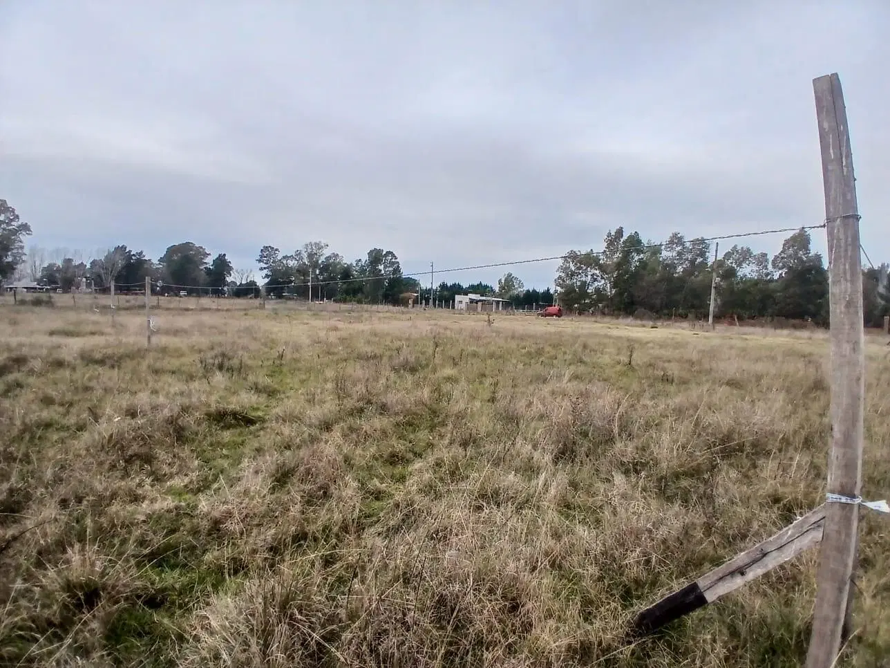 TERRENO VENTA CAÑUELAS RUTA 3 KM 75 4