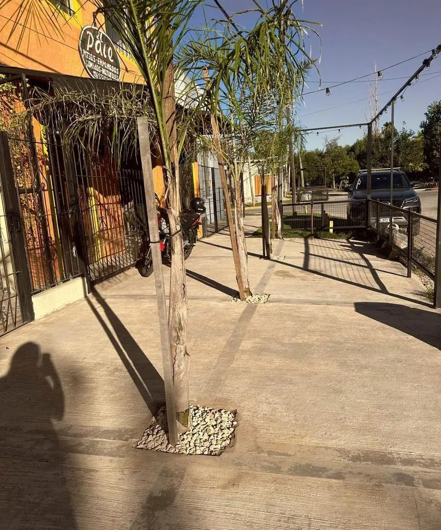 DEPARTAMENTO DE TRES AMBIENTES EN ALQUILER 3