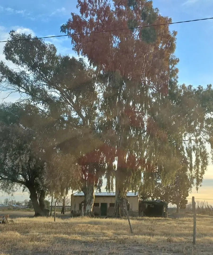 AMPLIA FINCA EN REAL DEL PADRE 2
