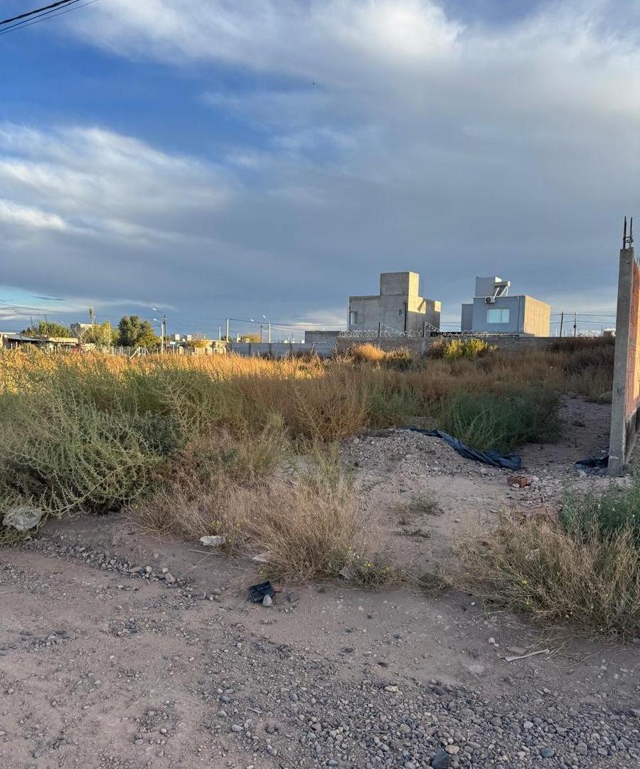 Foto de Terreno en Centenario, imagen 5