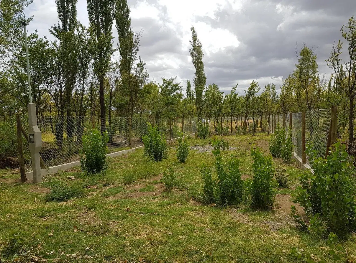 Terreno en Capital 5