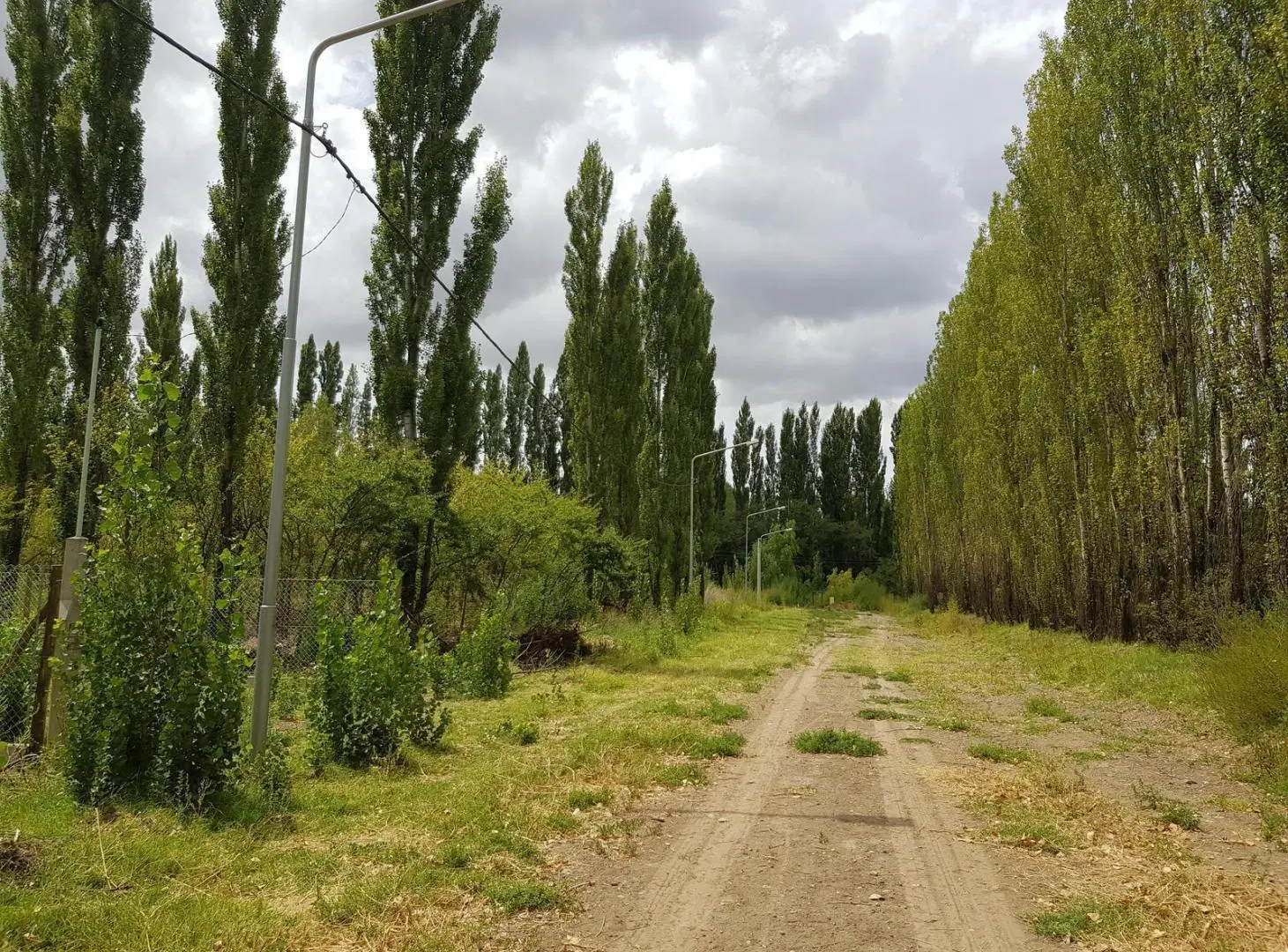 Terreno en Capital 4
