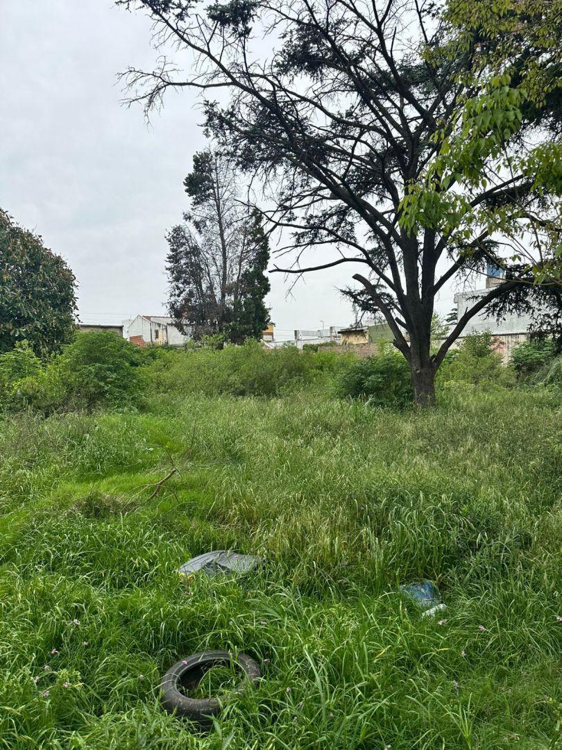 PROPIEDAD SUSPENDIDA  Lote . | RISSO PATRON al 4600