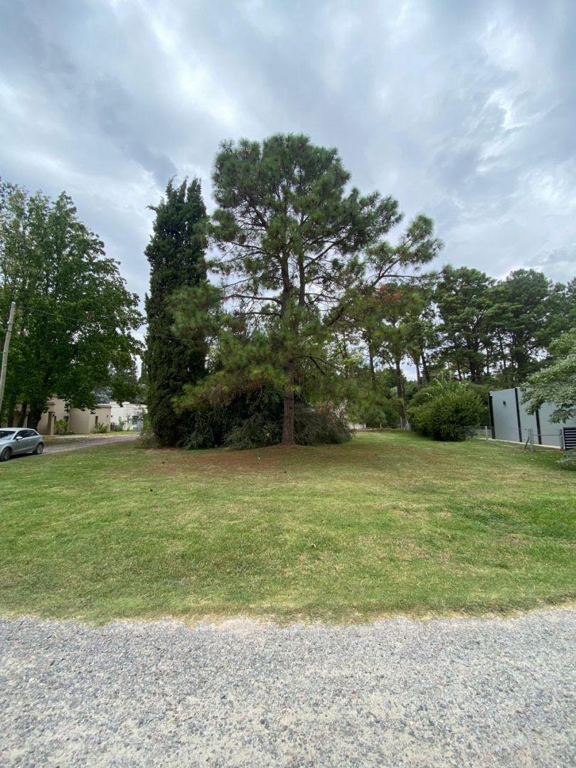 Foto de Lote . | Av. Presidente Peron al 3300, imagen 2