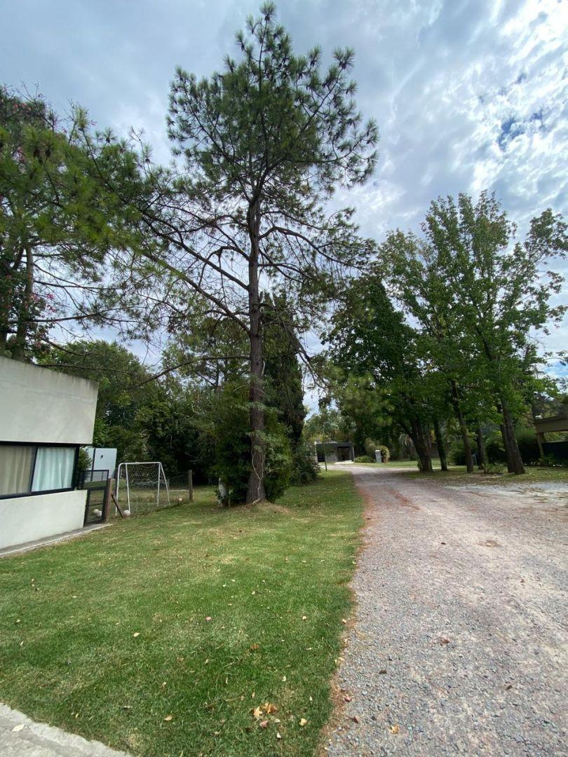 Foto de Lote . | Av. Presidente Peron al 3300, imagen 5
