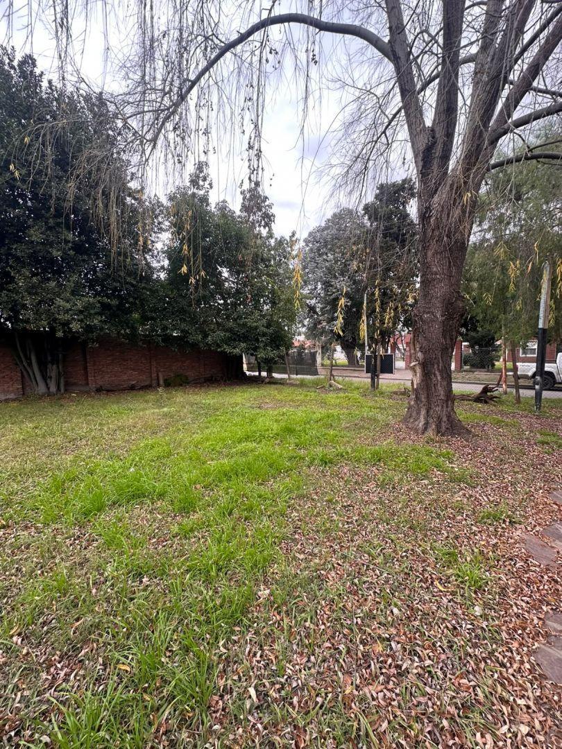 Foto de Lote . | GUATEMALA al 1800, imagen 4