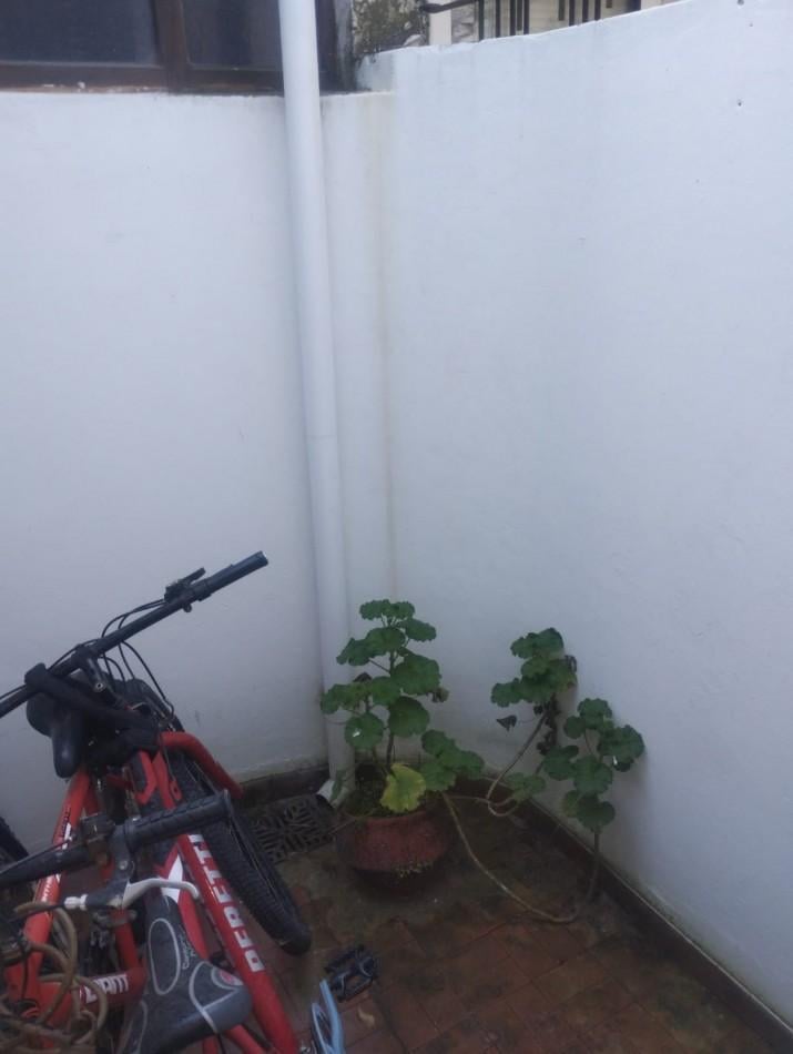 Foto de ALQUILER 24 MESES. PH 3 AMBIENTES PLANTA BAJA POR PASILLO. 2 PATIOS. 12, imagen 5