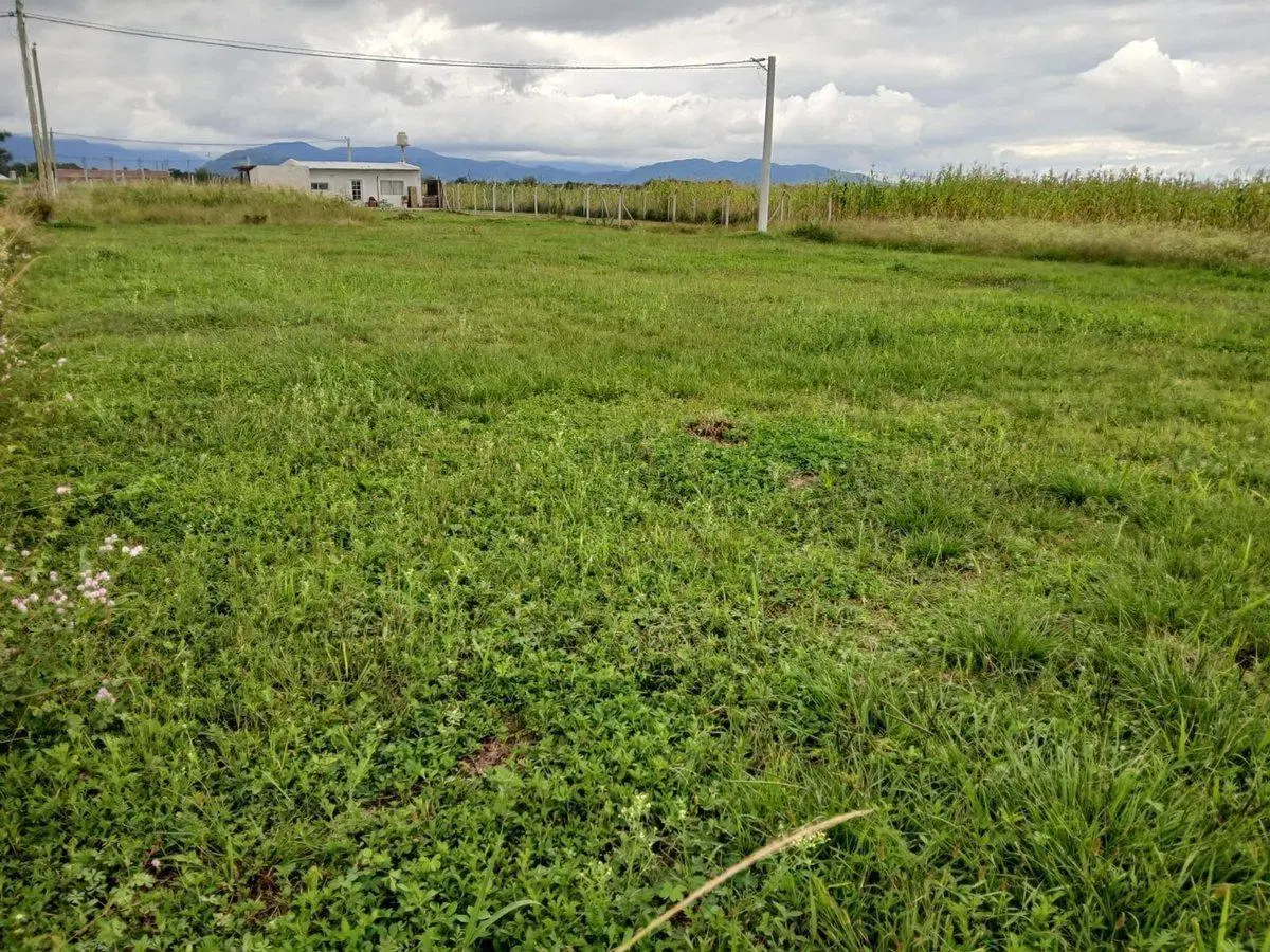 VENTA TERRENO LOTEO LA CARMINA CAMPO QUIJANO 390M2 4