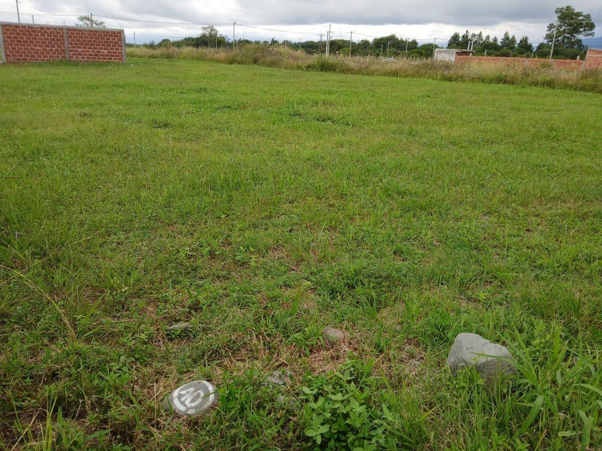 VENTA TERRENO LOTEO LA CARMINA CAMPO QUIJANO 390M2