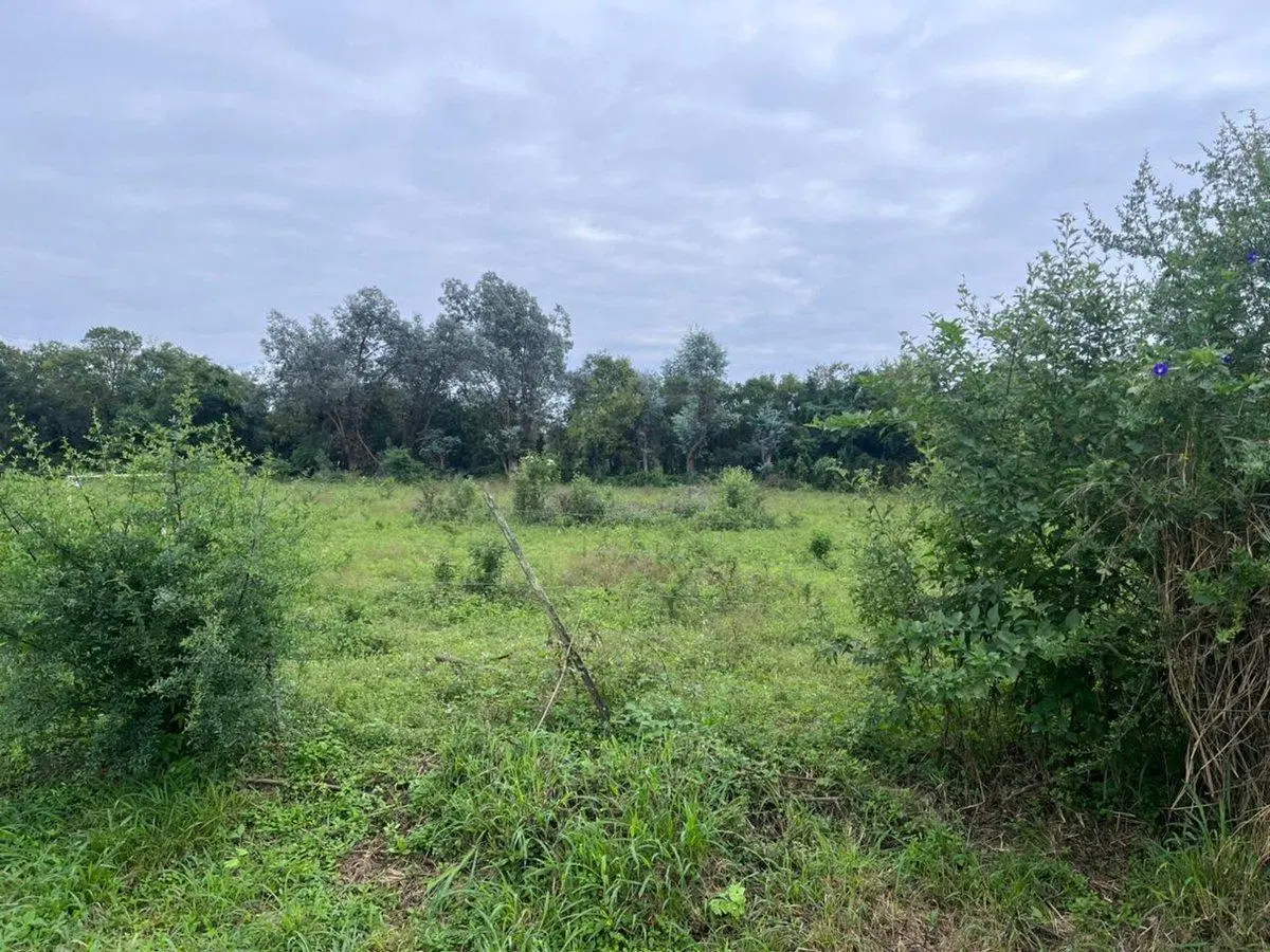 VENTA LOTE 3 HECTAREAS SOBRE RUTA PROVINCIAL 99 4