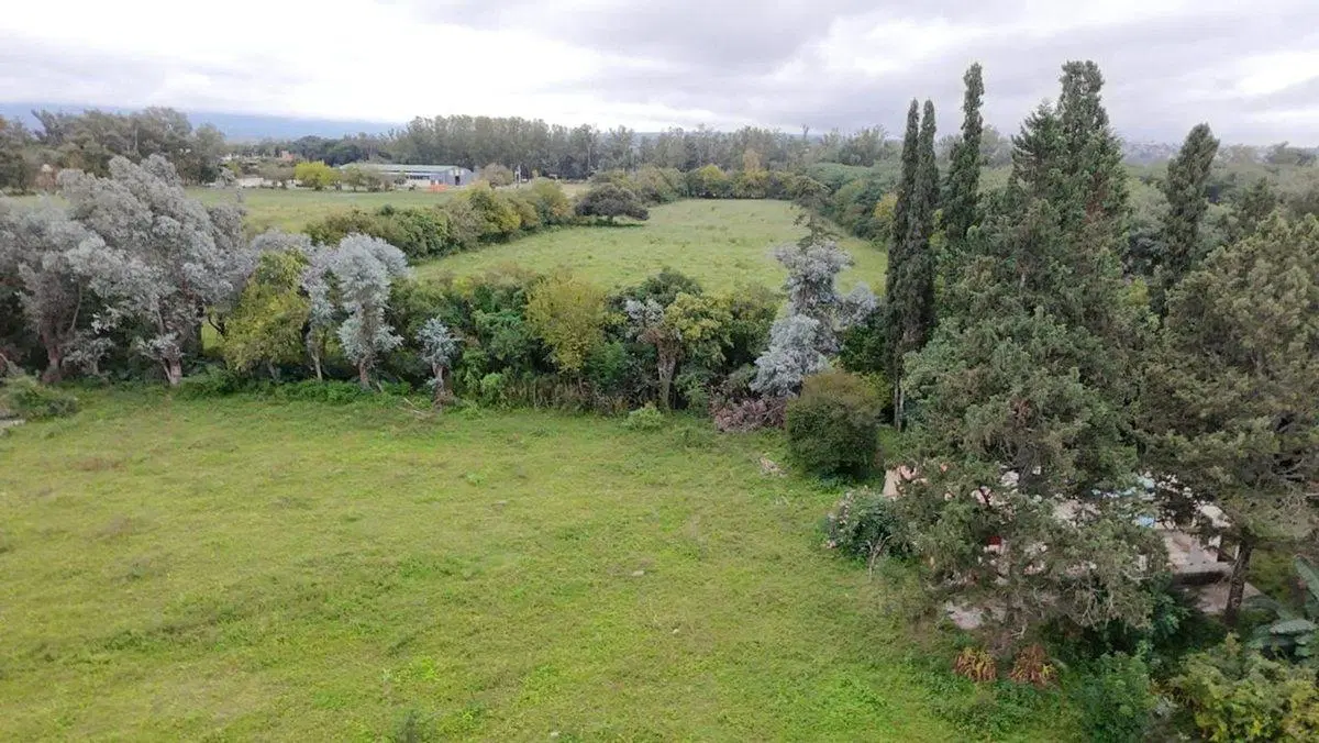VENTA LOTE 3 HECTAREAS SOBRE RUTA PROVINCIAL 99 3