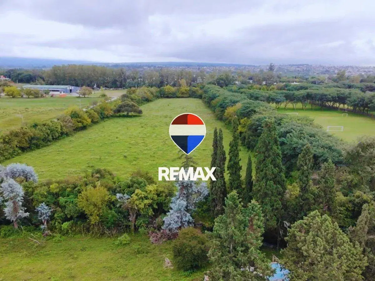 VENTA LOTE 3 HECTAREAS SOBRE RUTA PROVINCIAL 99 2
