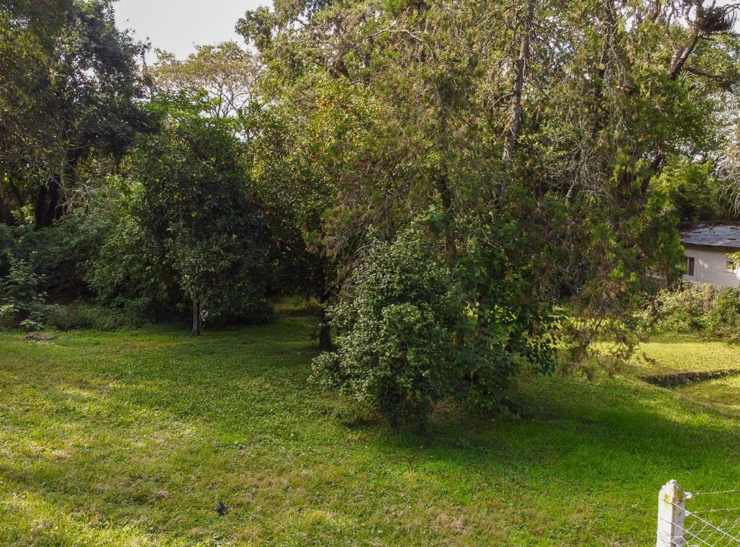 Foto de VENTA TERRENO 1000M2 SAN LORENZO, imagen 1