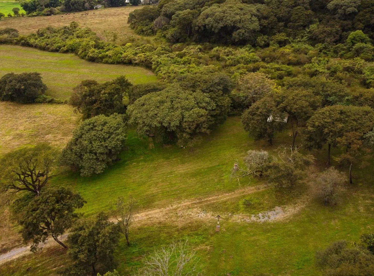 VENTA TERRENO CHACRAS DE PULARES OPORTUNIDAD 3