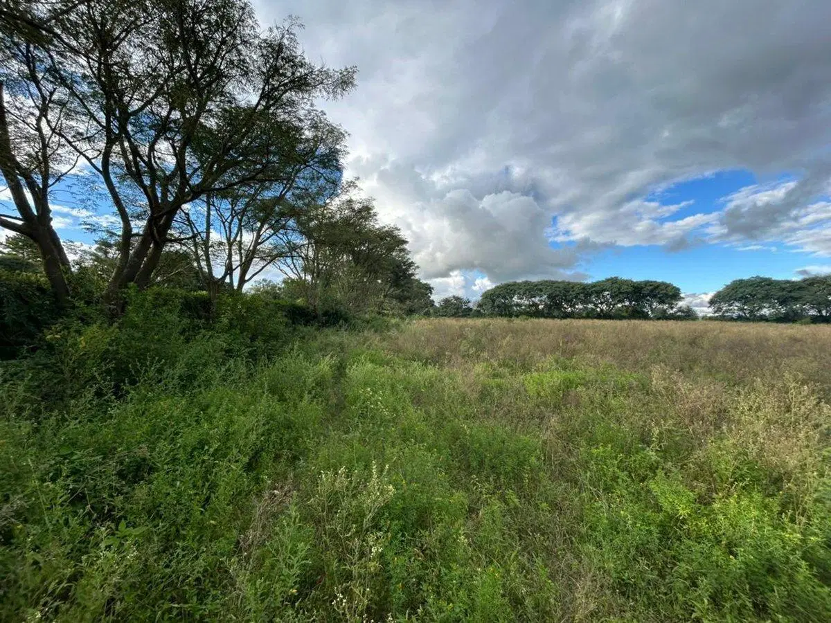 VENTA TERRENO 260M LOTEO ROSARIO DE LERMA 2