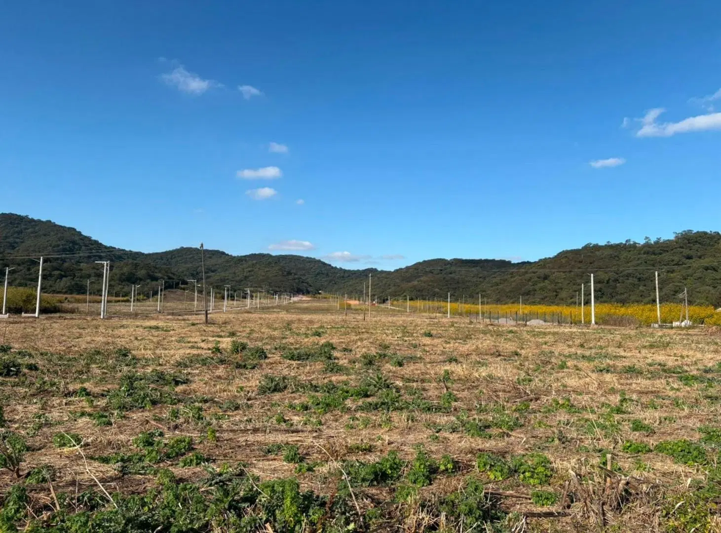 VENTA TERRENOS EN CERRILLOS - BOULEVARD BELLAVISTA 5