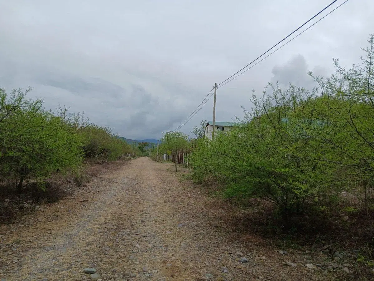 VENTA DE TERRENO EN LOTEO VALLE ALEGRE - 979 M2 5