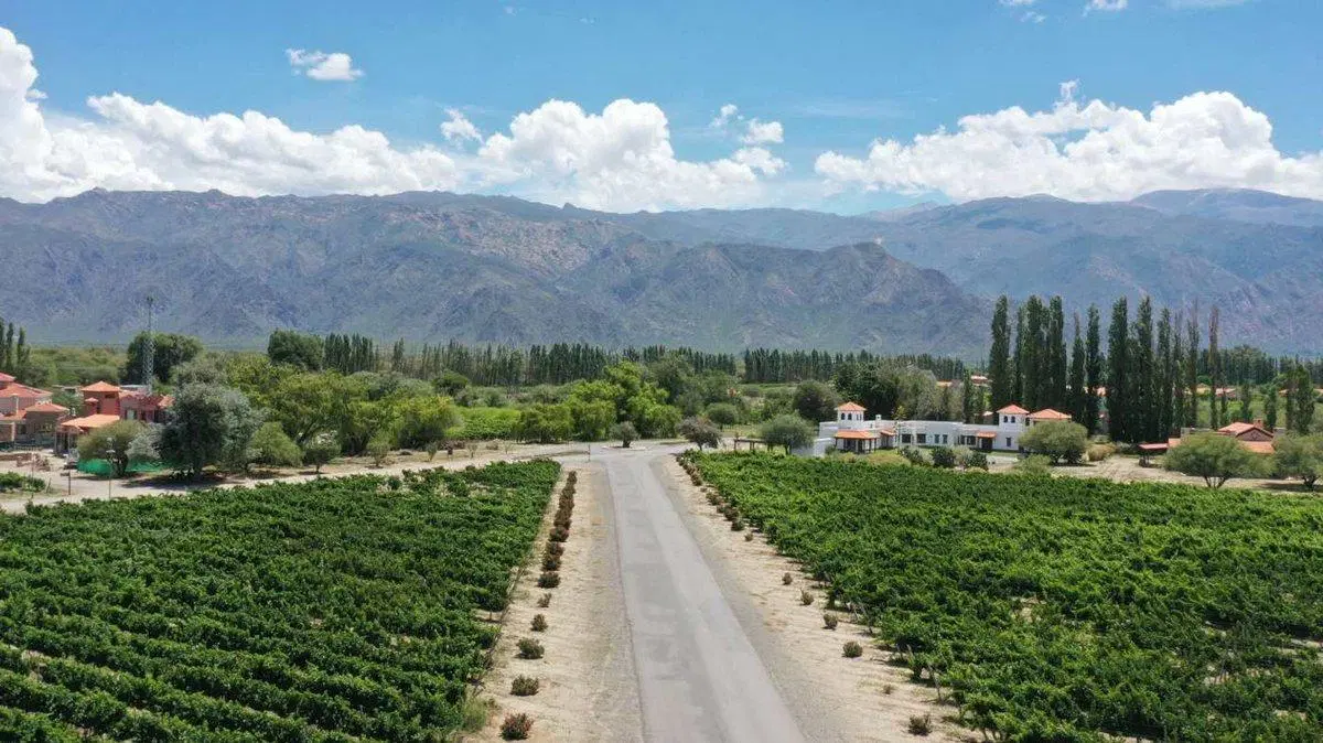 VENTA LOTE 2259 M2 - ESTANCIAS DE CAFAYATE 3