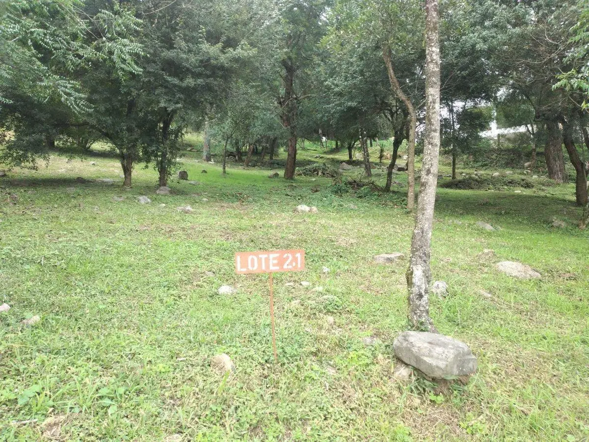 VENTA TERRENO LA HOYADA DE CASTELLANOS SAN LORENZO 5