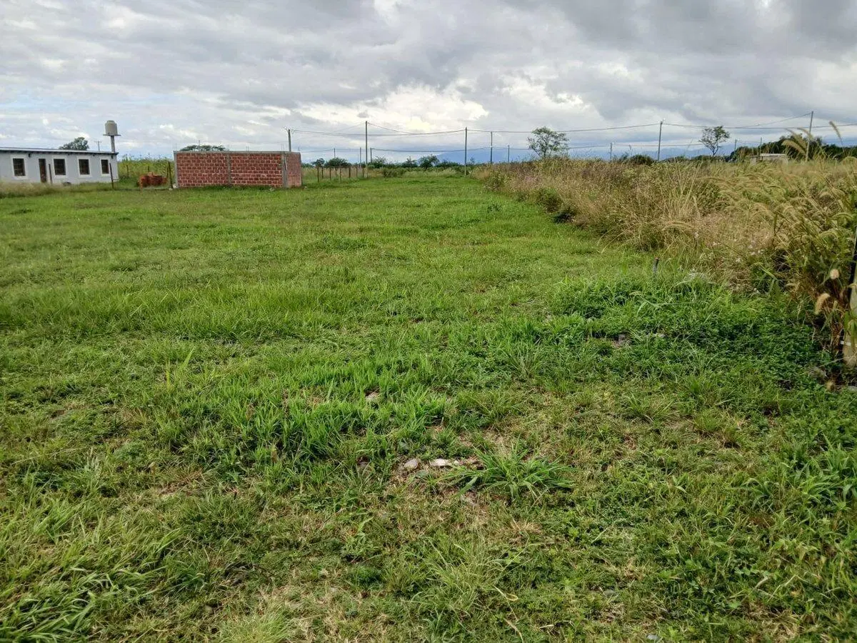 VENTA TERRENO LOTEO LA CARMINA CAMPO QUIJANO 390M2 4