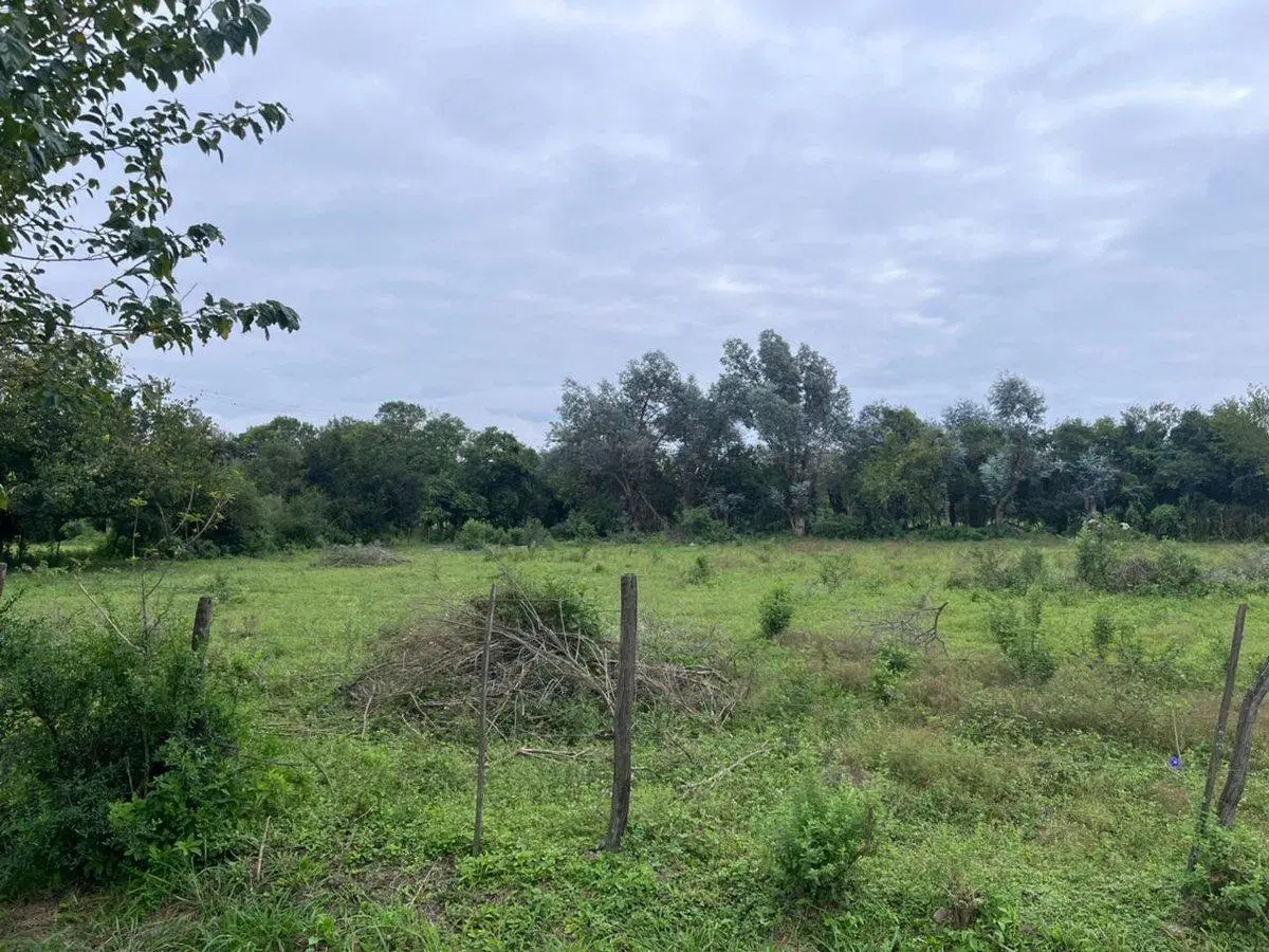 VENTA LOTE 3 HECTAREAS SOBRE RUTA PROVINCIAL 99 3