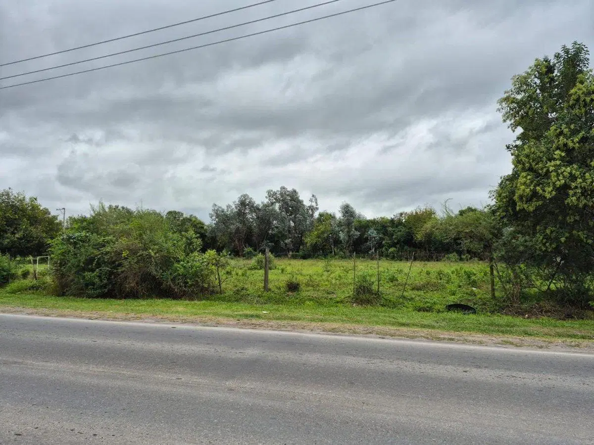 VENTA LOTE 3 HECTAREAS SOBRE RUTA PROVINCIAL 99 4