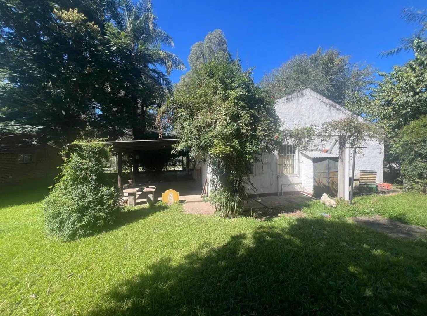VENTA CASA C LOCAL SOBRE RUTA 9 VAQUEROS 2