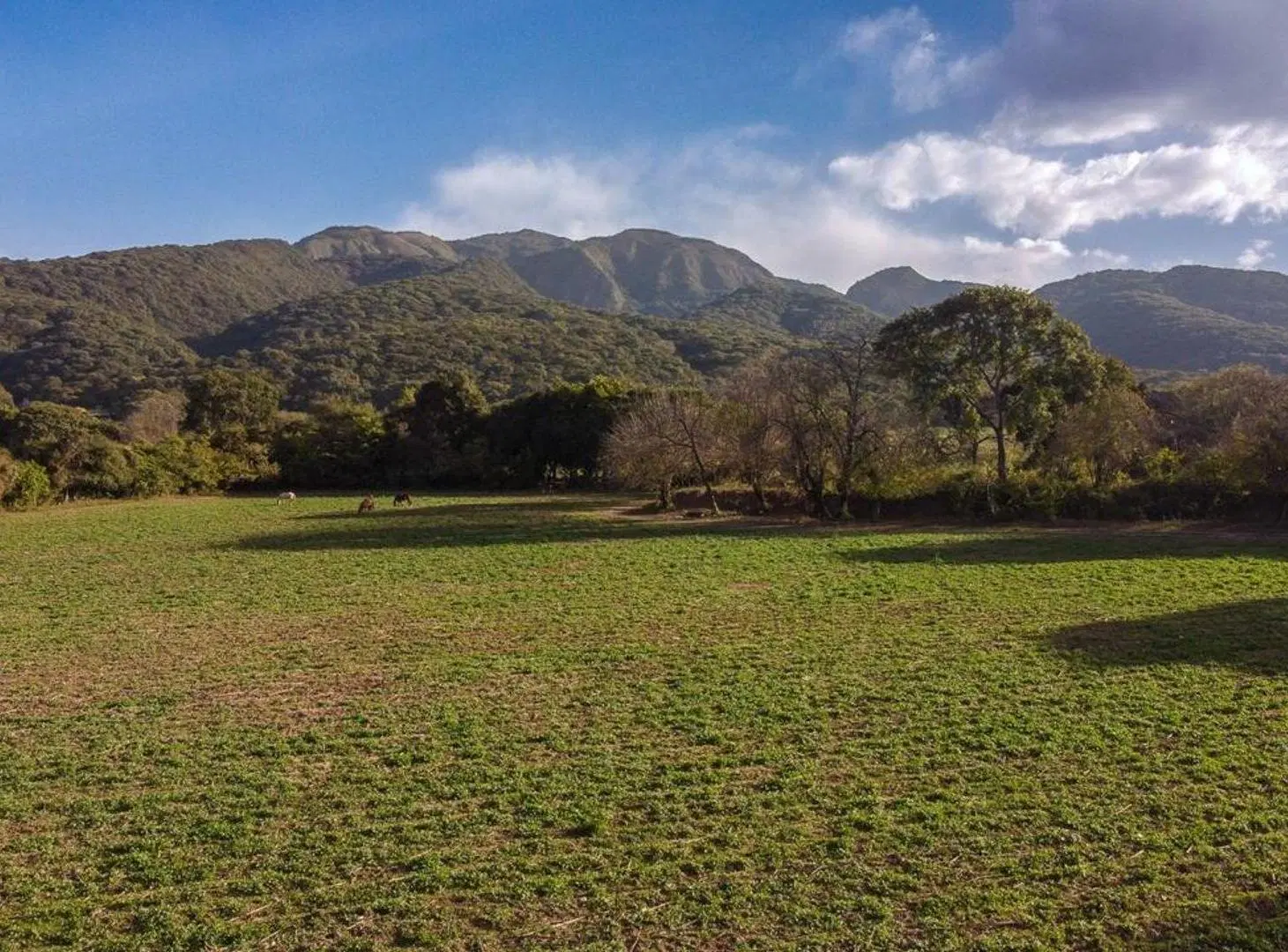 VENTA 22 HECTAREAS CHICOANA IDEAL PARA DESARROLLO 5