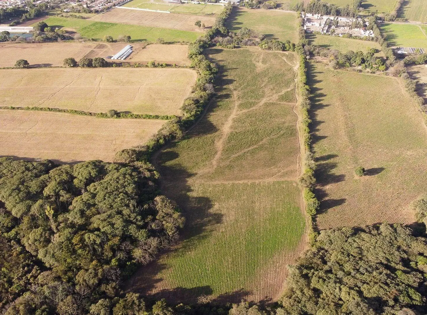 VENTA 22 HECTAREAS CHICOANA IDEAL PARA DESARROLLO 2