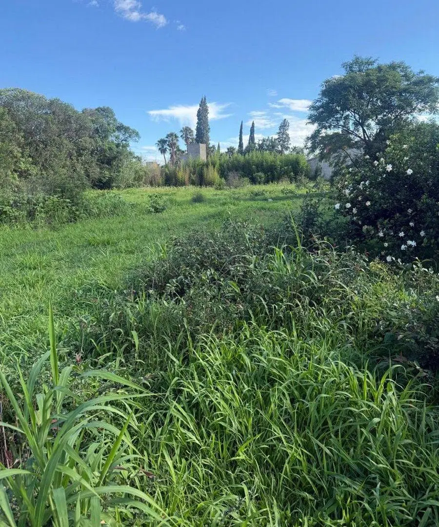 VENTA TERRENO ZONA SUR CON MENSURA PARA 6 LOTES 2