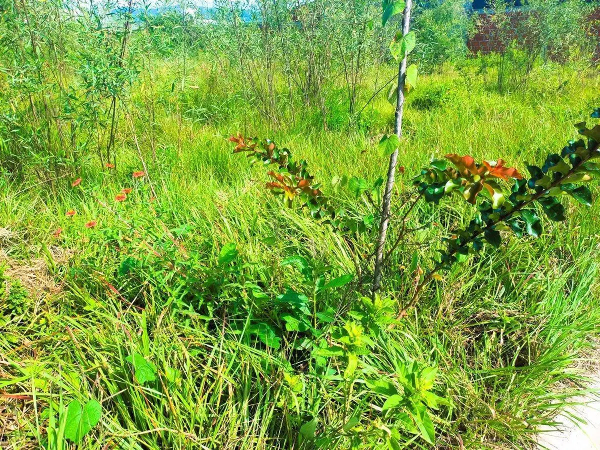 TERRENO EN VENTA EN URBANIZACIÓN TIERRA MÍA 360M2 4