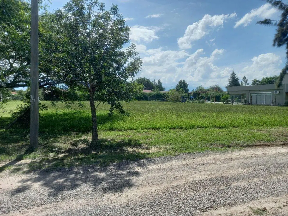 TERRENO VENTA SANTA APOLONIA CERRILLOS 3