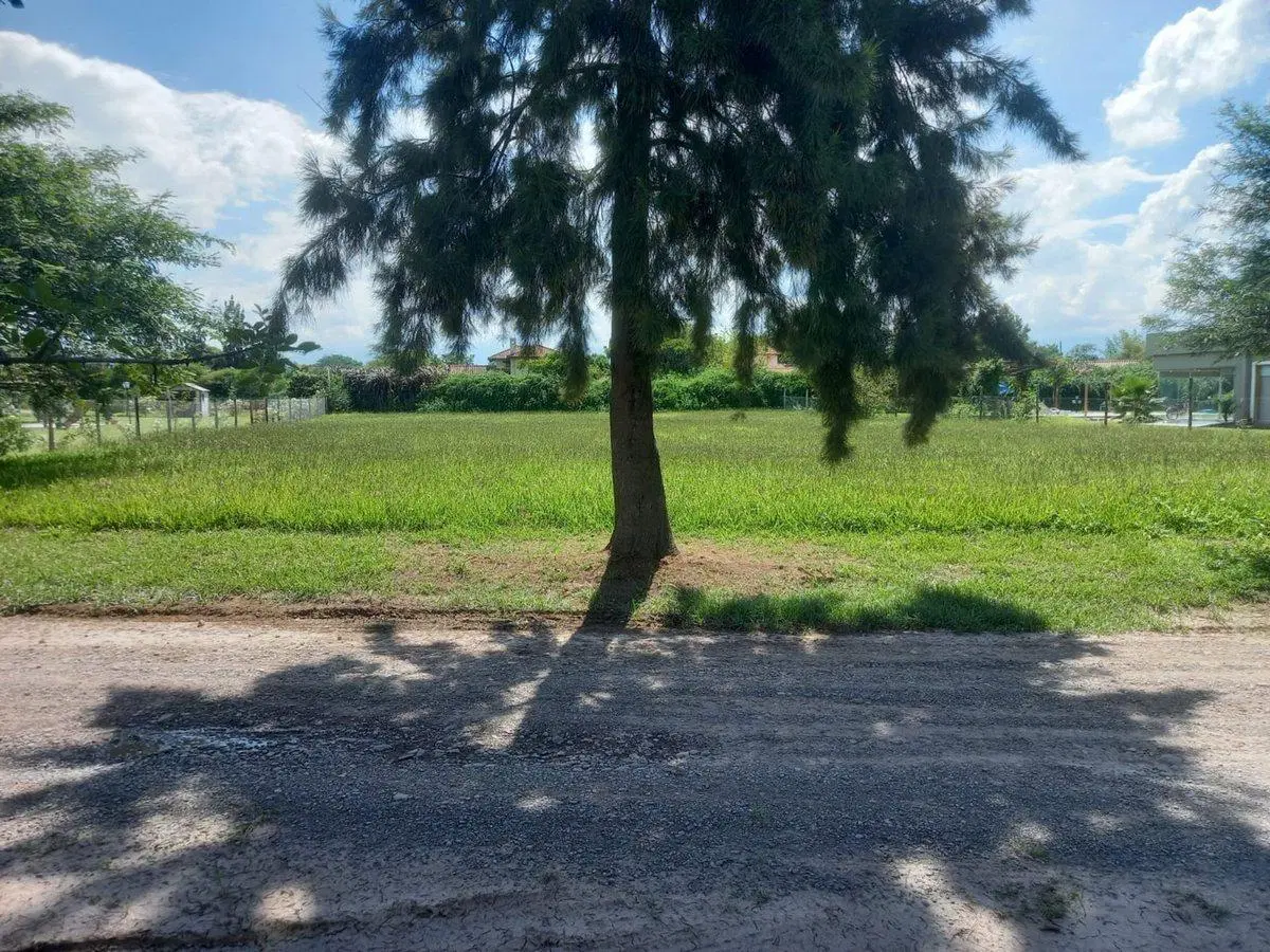 TERRENO VENTA SANTA APOLONIA CERRILLOS 2