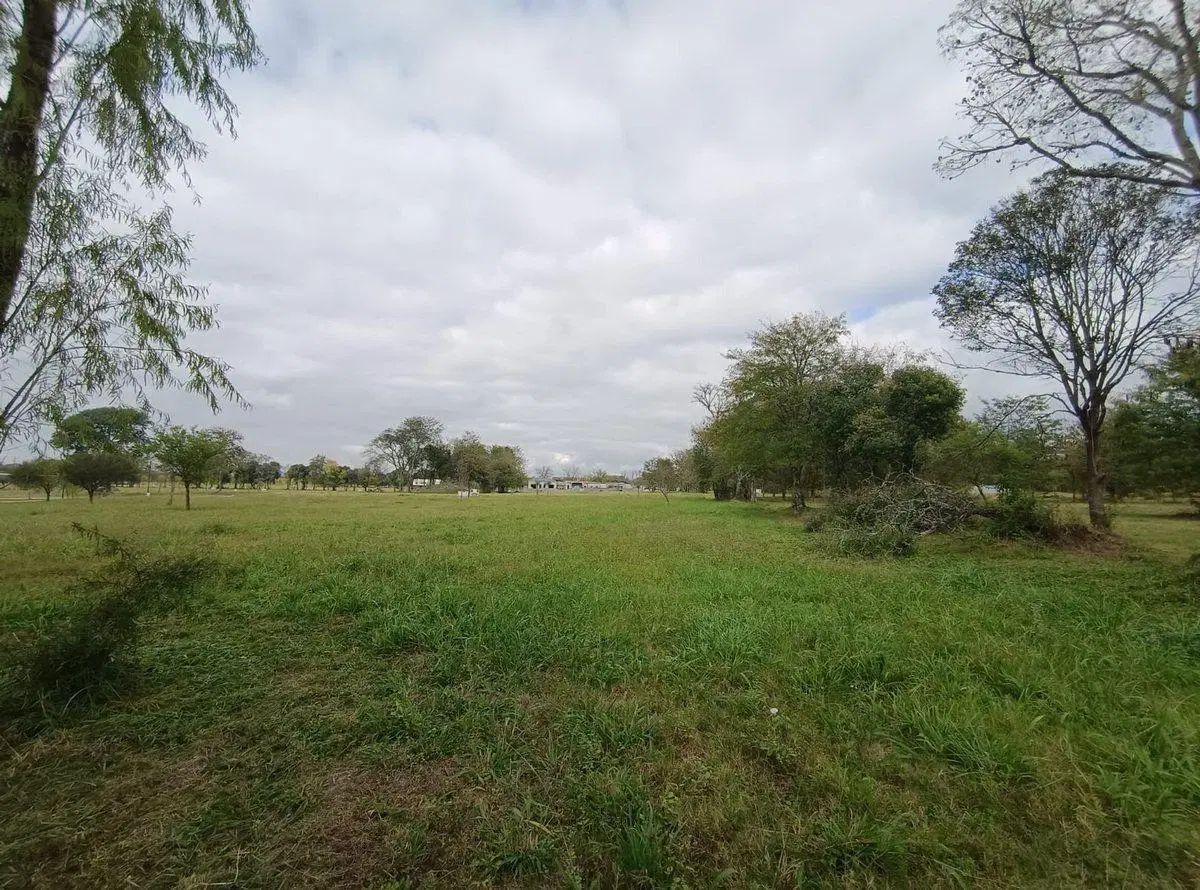 VENTA TERRENO LA ARBOLADA 4