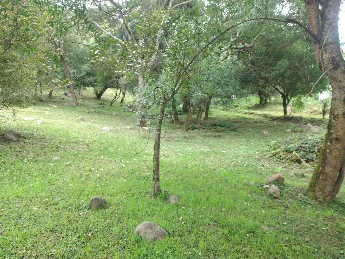 VENTA TERRENO LA HOYADA DE CASTELLANOS SAN LORENZO 4