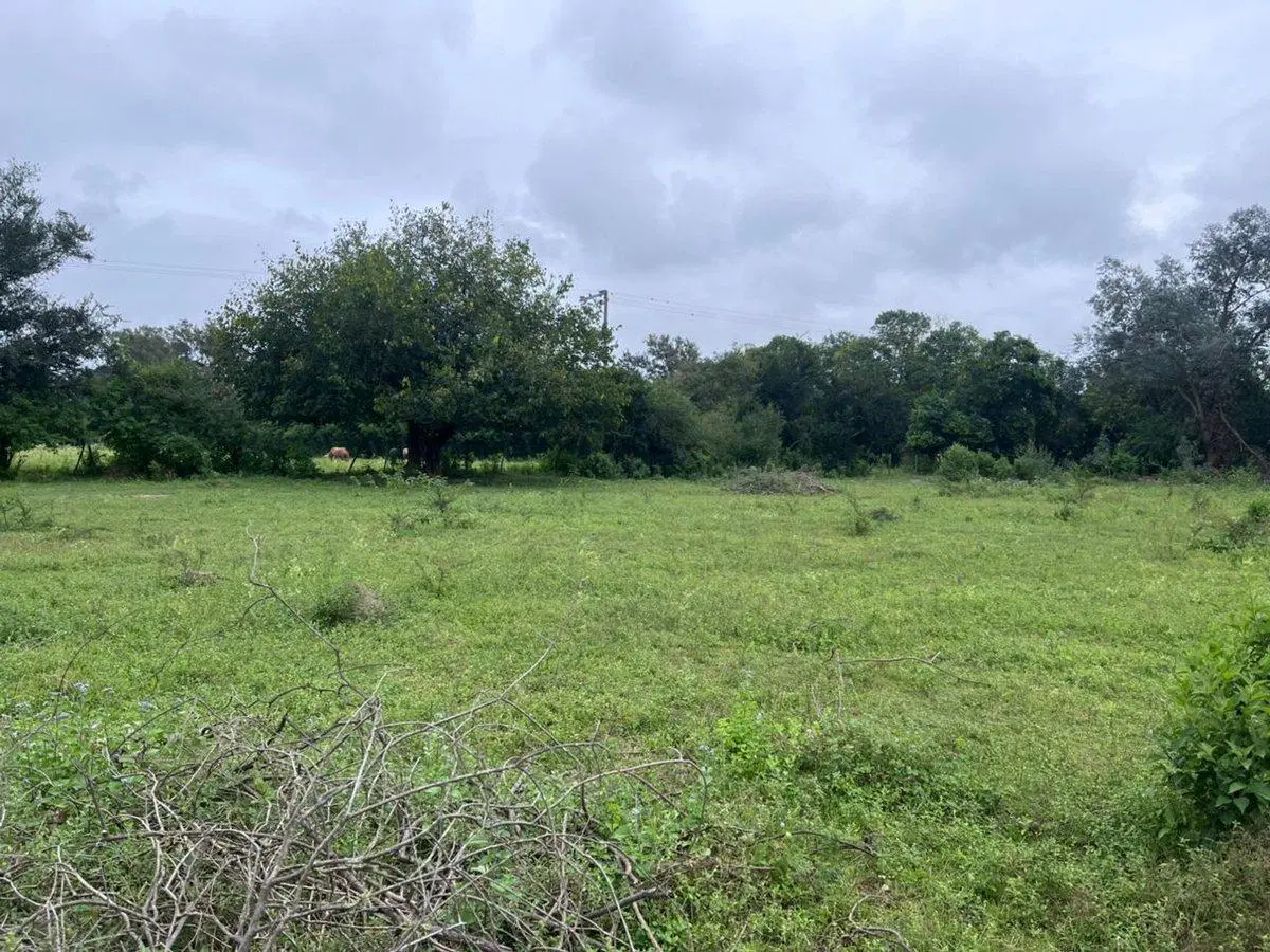 VENTA LOTE 3 HECTAREAS SOBRE RUTA PROVINCIAL 99 4