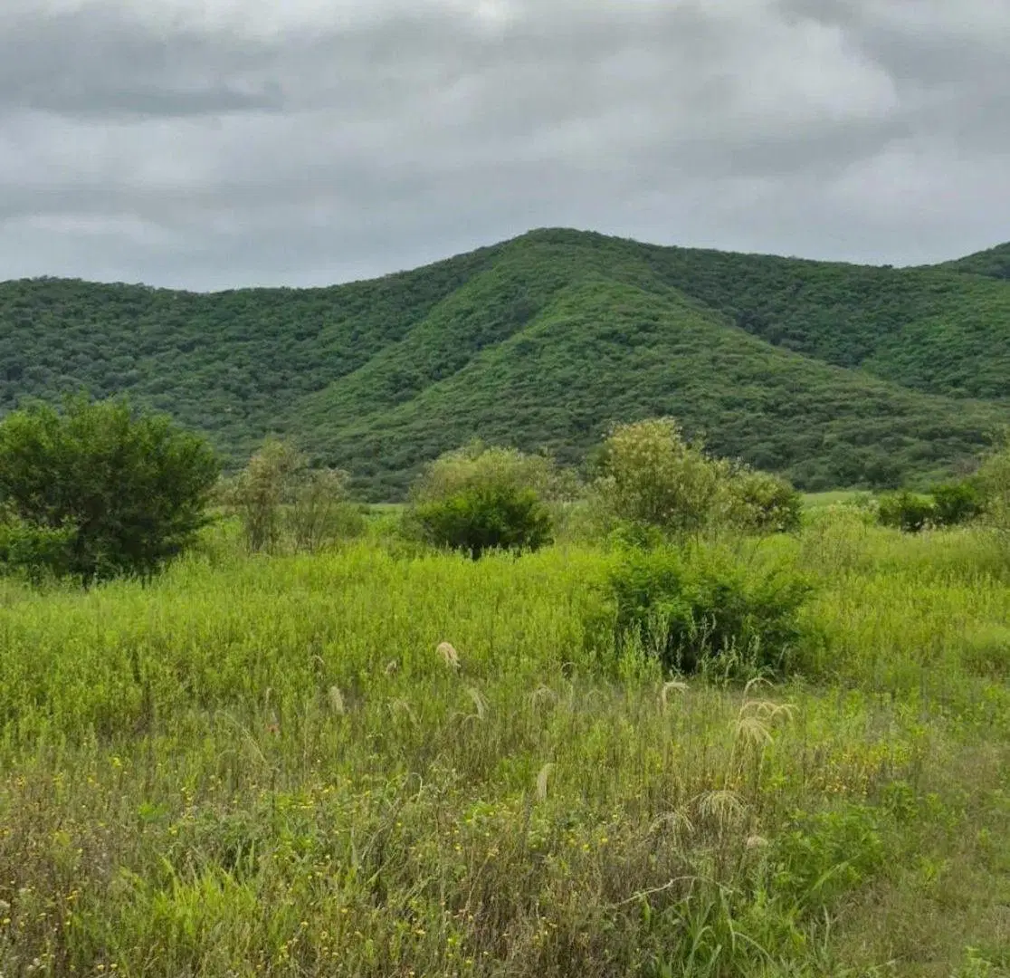 VENTA LOTE  LA SECUNDINA CERRILLOS SALTA 3