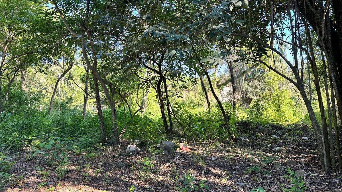 Foto de VENTA TERRENO ESQUINA VILLA SAN LORENZO 1246 M2, imagen 1
