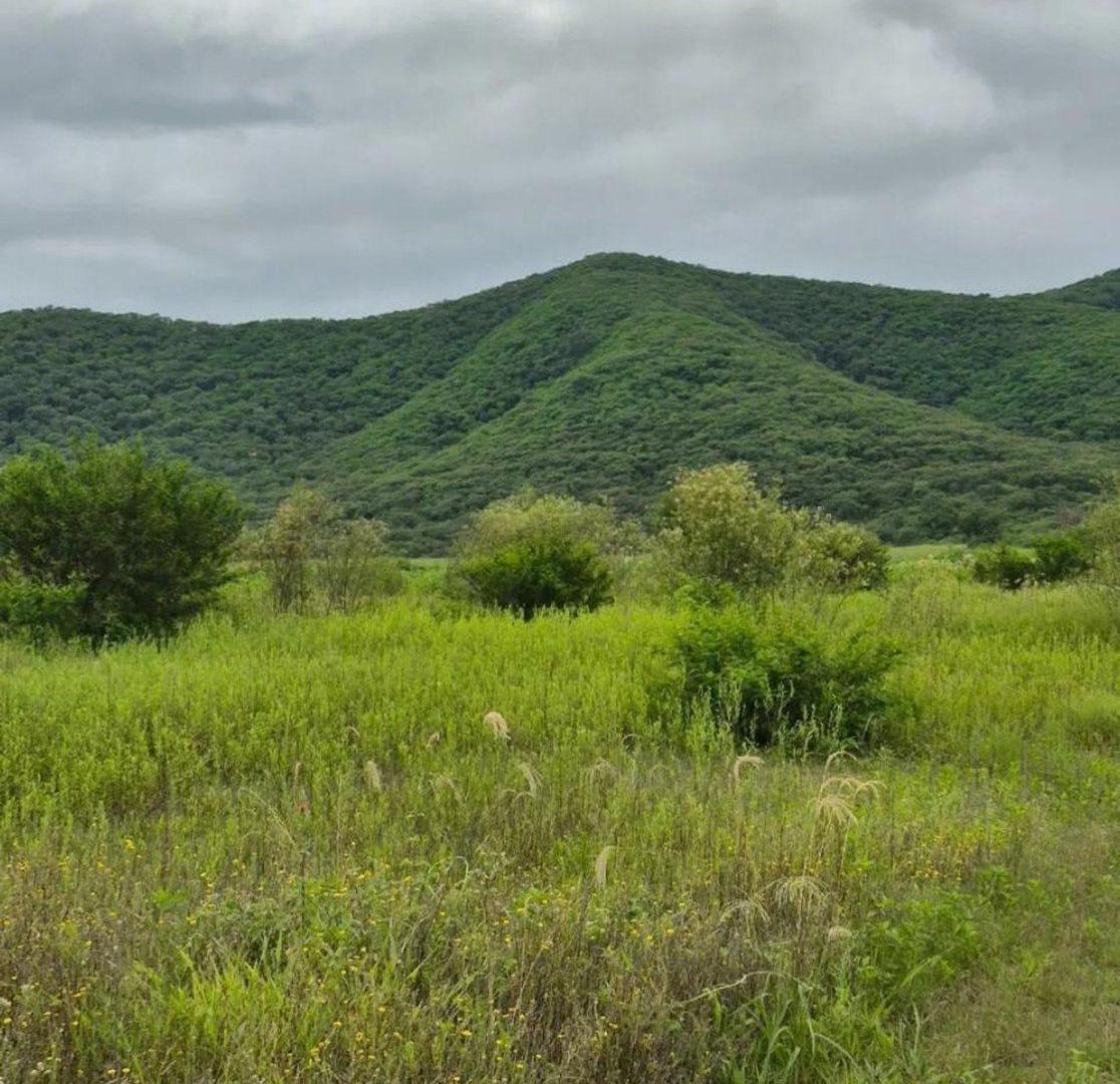 Foto de VENTA LOTE LA SECUNDINA CERRILLOS SALTA, imagen 4