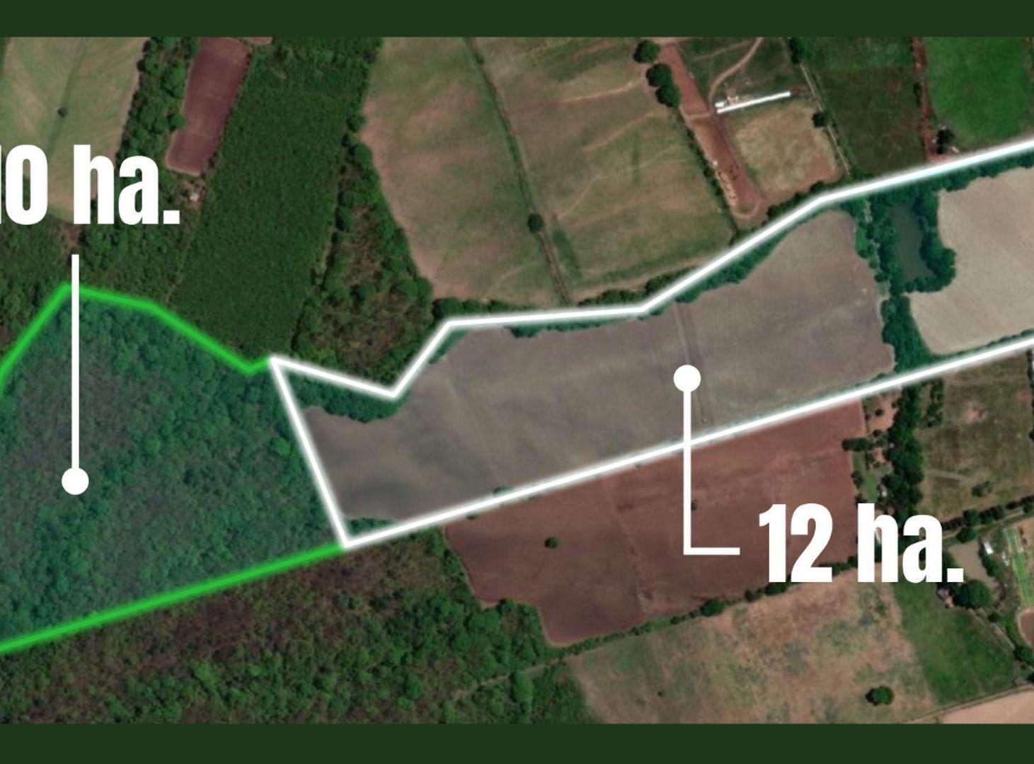Foto de VENTA 22 HECTAREAS CHICOANA IDEAL PARA DESARROLLO, imagen 2