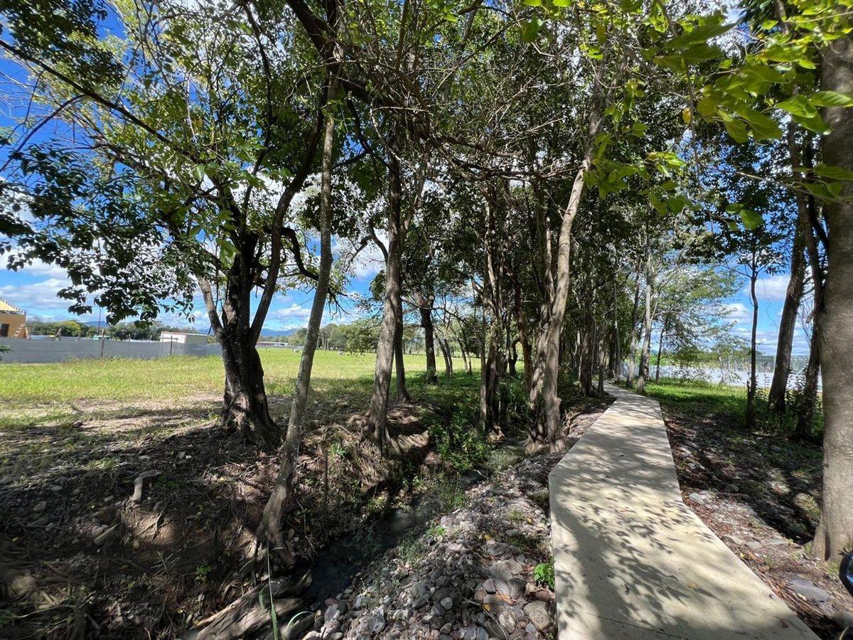 Foto de TERRENO EN VENTA EN LA ARBOLADA - CIRCUNV OESTE, imagen 1