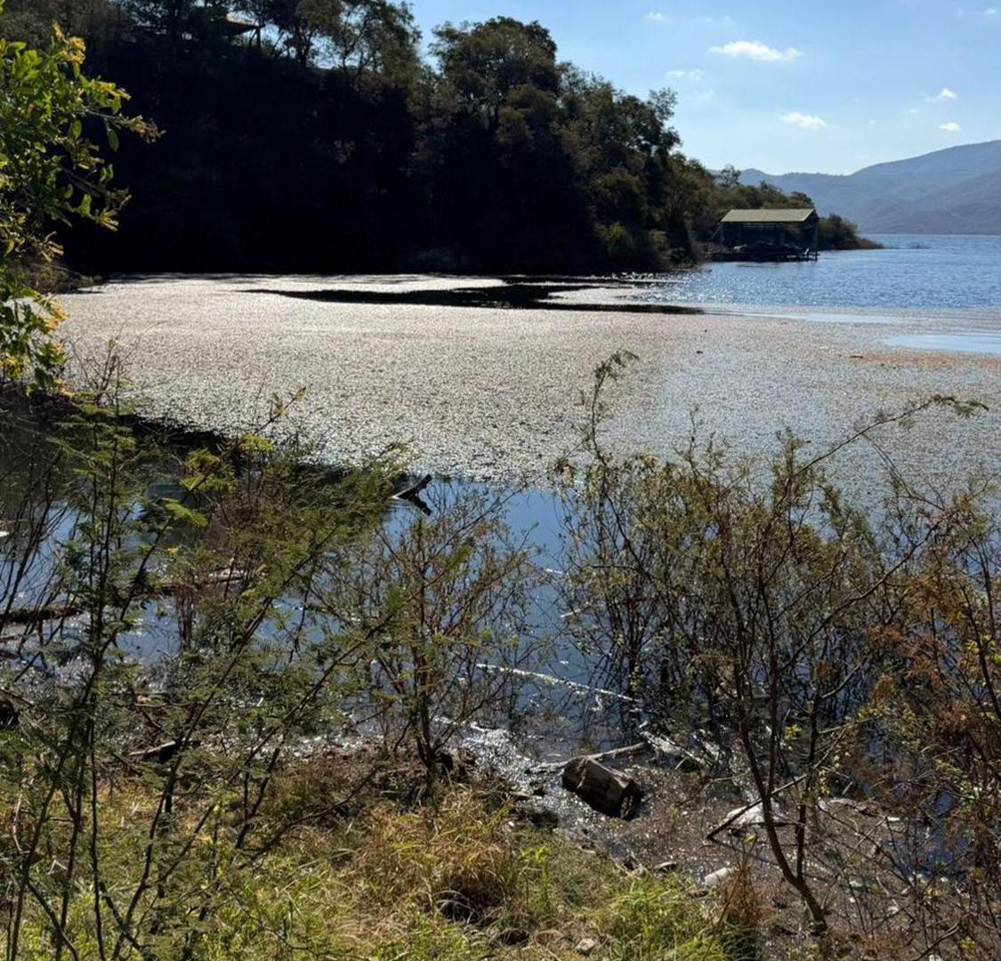 Foto de Venta terreno Dique Cabra Corral Ruta 47 Km 16.5, imagen 5